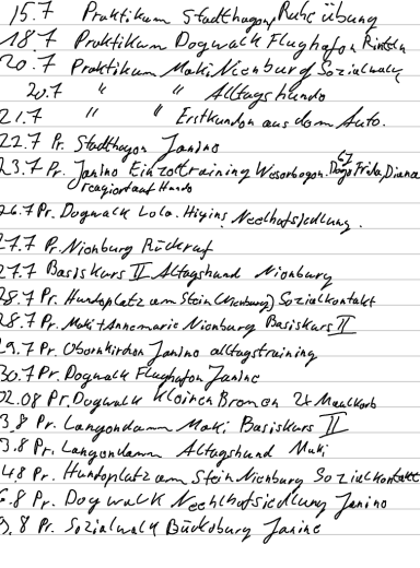 Handschriftliche Notizen mit Angaben zu Personen und Daten.