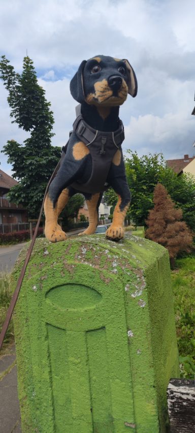 Warten auf den Kunden Stoffhund