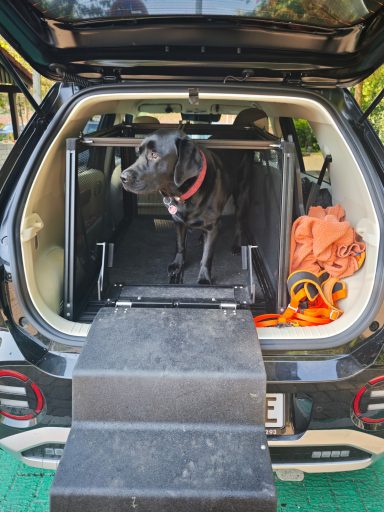 Dog and Drive Box mit Treppe Dog and Drive Box mit Hund Nala